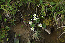 BUITEN BEELD Foto: 426493