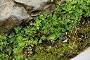 BUITEN BEELD Foto: 426517