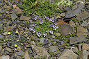BUITEN BEELD Foto: 426546