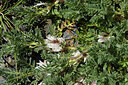 BUITEN BEELD Foto: 426555