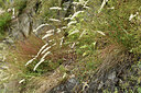 BUITEN BEELD Foto: 426579