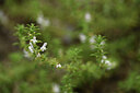 BUITEN BEELD Foto: 426583