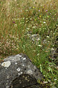 BUITEN BEELD Foto: 426602