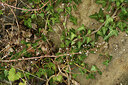 BUITEN BEELD Foto: 426622