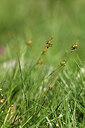 BUITEN BEELD Foto: 426698