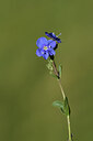 BUITEN BEELD Foto: 426713