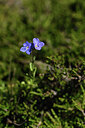 BUITEN BEELD Foto: 426718