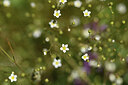 BUITEN BEELD Foto: 426736