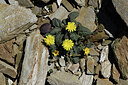 BUITEN BEELD Foto: 426738