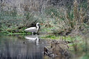 BUITEN BEELD Foto: 426756