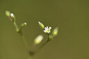 BUITEN BEELD Foto: 426871