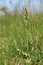 BUITEN BEELD Foto: 426885