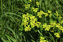 BUITEN BEELD Foto: 426900