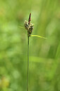 BUITEN BEELD Foto: 426931