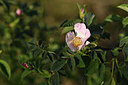 BUITEN BEELD Foto: 426971