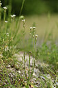 BUITEN BEELD Foto: 426987