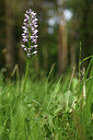 BUITEN BEELD Foto: 427016