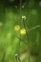 BUITEN BEELD Foto: 427037