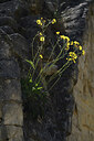 BUITEN BEELD Foto: 427045