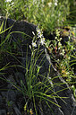 BUITEN BEELD Foto: 427091