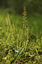 BUITEN BEELD Foto: 427118