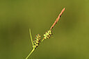 BUITEN BEELD Foto: 427179