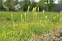 BUITEN BEELD Foto: 427220