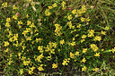 BUITEN BEELD Foto: 427248