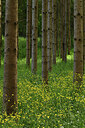 BUITEN BEELD Foto: 427283