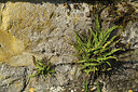 BUITEN BEELD Foto: 427304