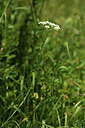 BUITEN BEELD Foto: 427409