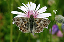 BUITEN BEELD Foto: 427501