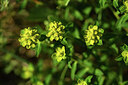 BUITEN BEELD Foto: 427626