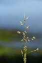 BUITEN BEELD Foto: 427646