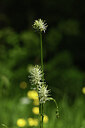 BUITEN BEELD Foto: 427678