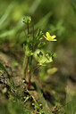 BUITEN BEELD Foto: 427701