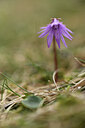 BUITEN BEELD Foto: 427716