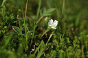 BUITEN BEELD Foto: 427753