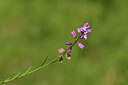 BUITEN BEELD Foto: 427780