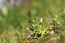 BUITEN BEELD Foto: 427814