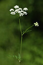 BUITEN BEELD Foto: 427829