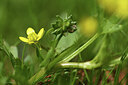 BUITEN BEELD Foto: 427971