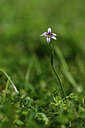 BUITEN BEELD Foto: 428013