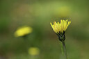 BUITEN BEELD Foto: 428033
