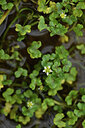 BUITEN BEELD Foto: 428043