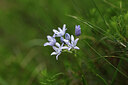 BUITEN BEELD Foto: 428064