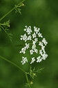 BUITEN BEELD Foto: 428214