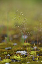 BUITEN BEELD Foto: 428330