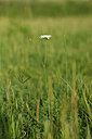 BUITEN BEELD Foto: 428366