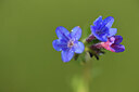BUITEN BEELD Foto: 428377